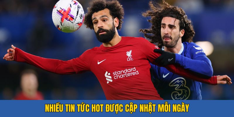 Những tin tức cập nhật liên tục trên diễn đàn